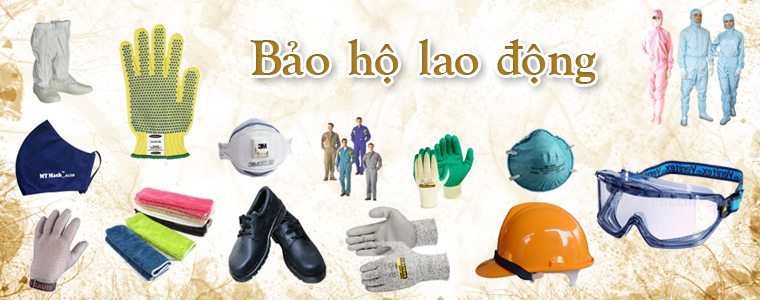 Bảo hộ lao động